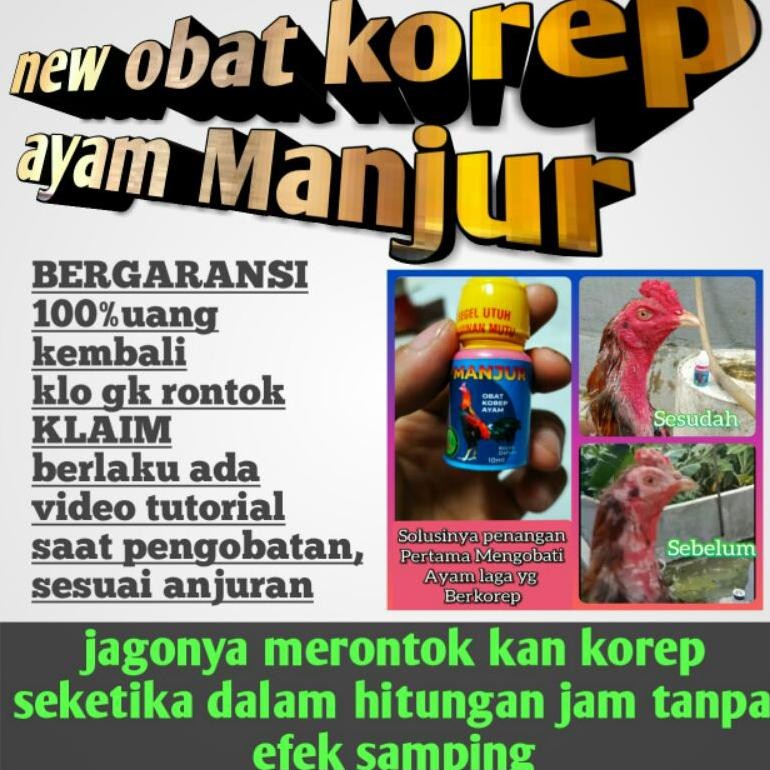 Berkualitas Obat  Korep Ayam Manjur Ampuh Mengobati Korep Obat Korep Ayam Laga Terampuh Obat Korep A