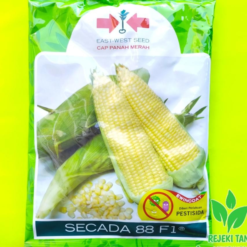 Benih Jagung Secada 88 F1 Isi 1.750 Butir