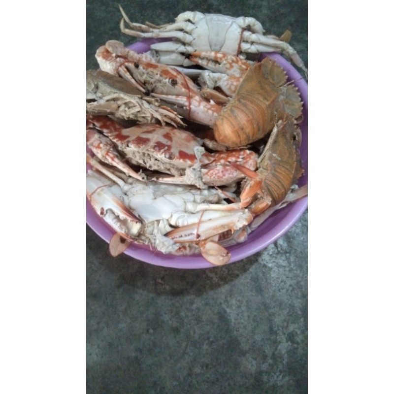 

basreng