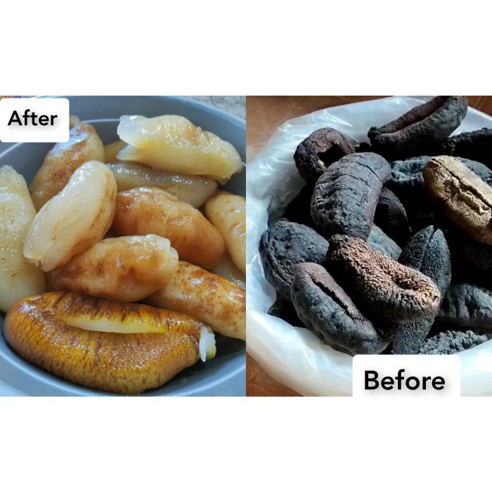 

Teripang / Haisim Kiku (Jai Kok Sim) Haisom Timun Laut / Sea Cucumber
