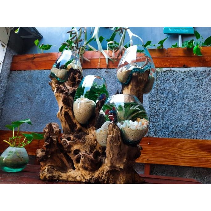 HARGA DISC - Vas kaca Tiup Aquarium Ikan Cupang Pot Kaktus Tingkat 4 - 15 cm