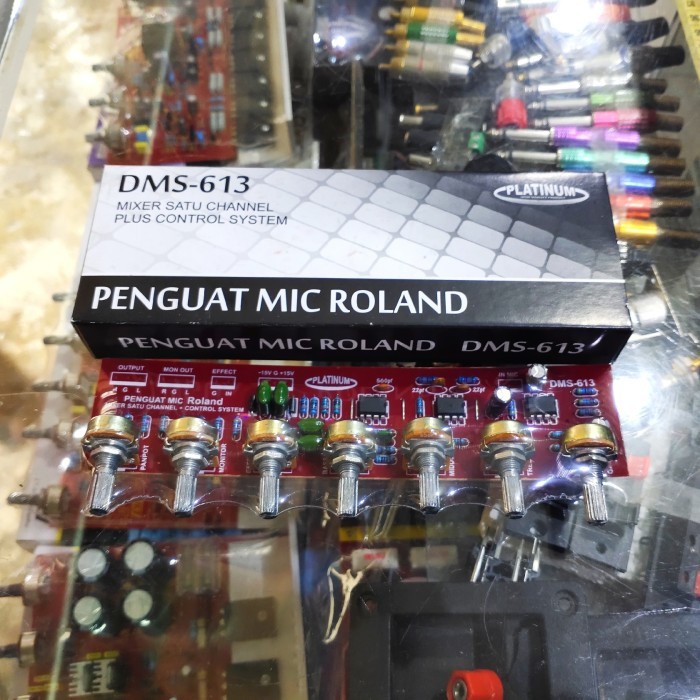 '+'+'+'+] Kit Penguat Mic Roland DMS 613