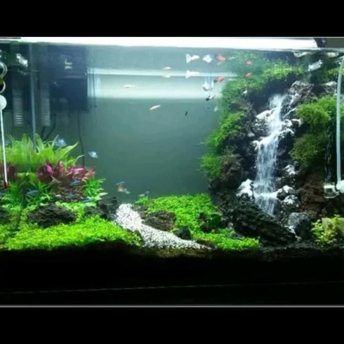 aquarium aquascape jadi full set lengkap air terjun PS