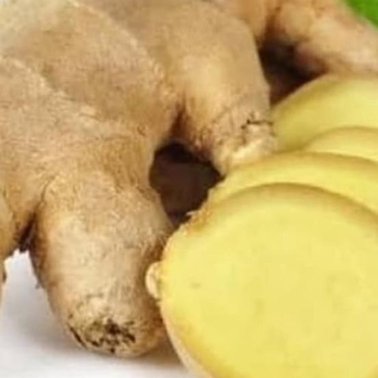 

Jahe Putih Segar 1Kg