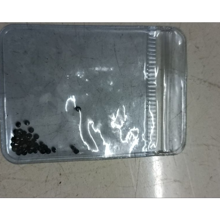 GrosiranK0w0V berlian hitam gugur 20