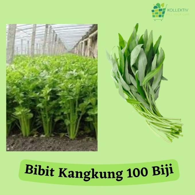 Bibit Kangkung / Benih Sayuran