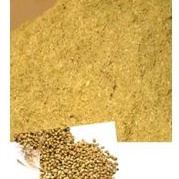 

Tepung Ketumbar Bumbu Masakan Nusantara