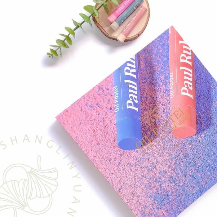 

Paul Rubens classic 48 macaron 36 artist soft oil pastel