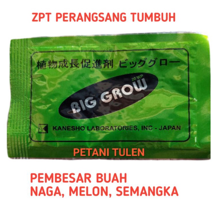 [PROMONHA9] pembesar buah  BIG GROW 20wp ZYH