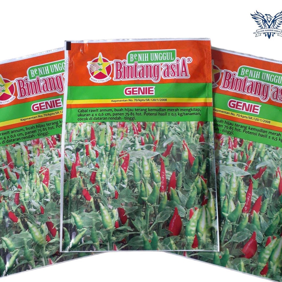 Buruan Beli Benih bibit CABAI RAWIT GENIE 10 Gr  Bintang Asia 100% Original Dewata 43 F1, ORI 212
