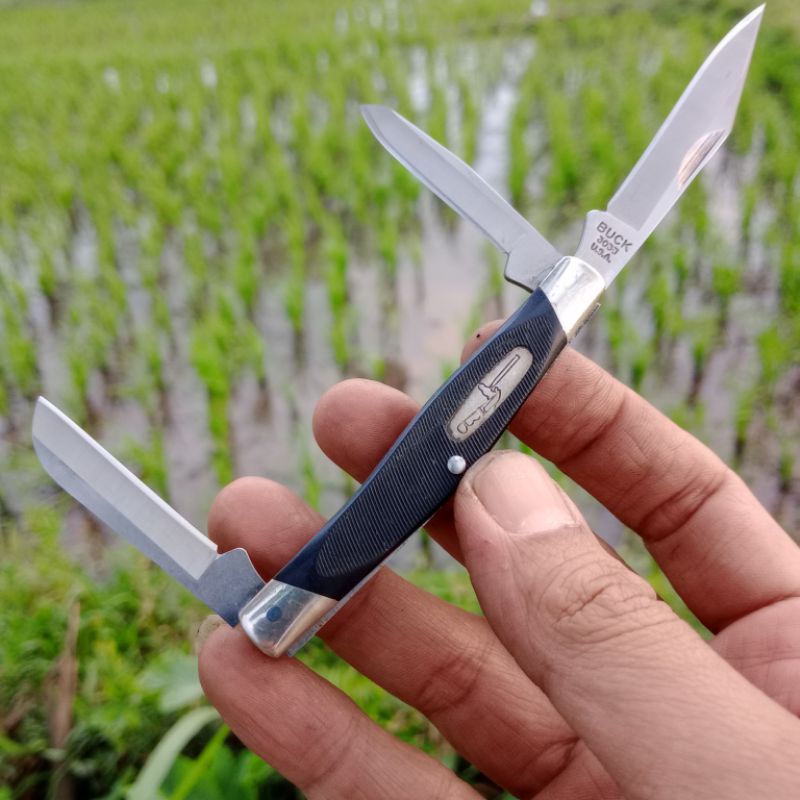 BUCK 303 Cadet Junior Stockman 2016 black sawcut pocket knife 3.24 in closed