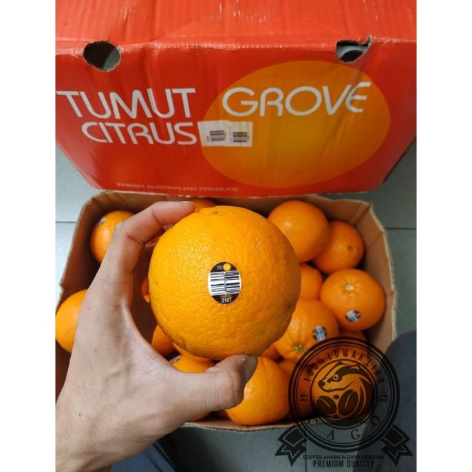 

Jeruk Sunkist Navel Late Lane Tumut Citrus 1 DUS (18KG ) Fresh Import