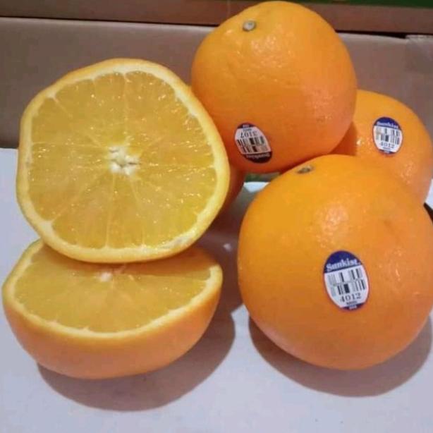 

buah jeruk sunkist navel vitor fresh/1kg