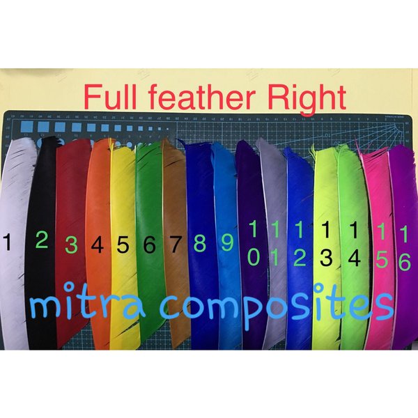 Bulu Kalkun Utuh Bahan Vanes Arrow Panah