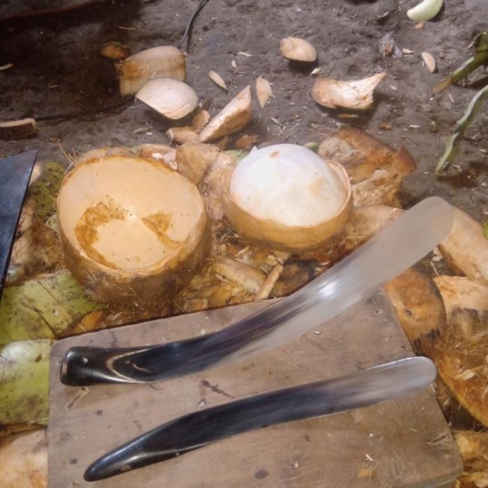 Pisau Tanduk (Kelapa Muda), 1 Set Ready