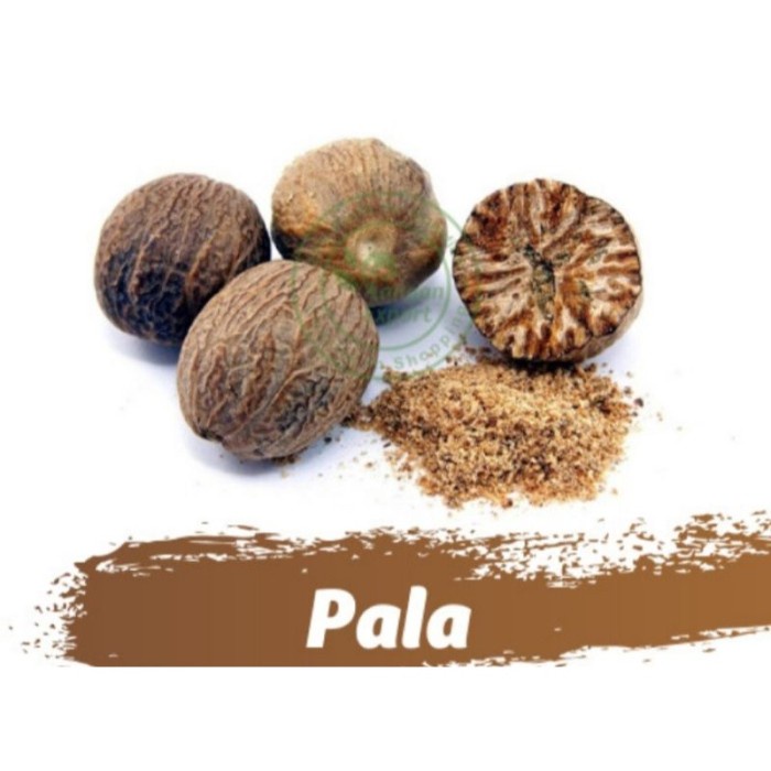 

Biji Pala Bulat 1 Butir - Bli Sayur Palembang