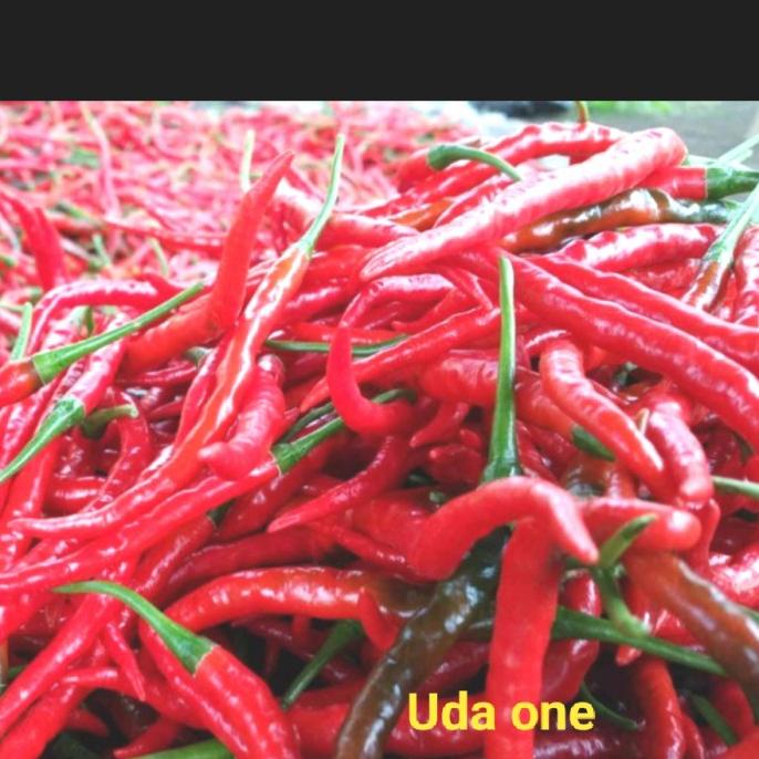 

cabe keriting merah 1kg