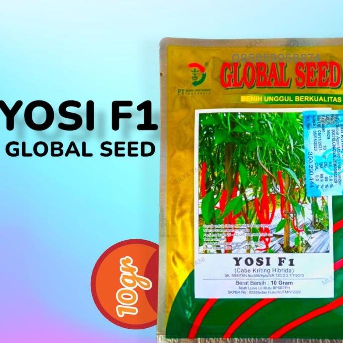 Benih cabe Cabai Merah keriting hibrida YOSI F1 10 gram Global Seed