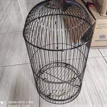 High Quality RAM BESI GEMBUNG SANGKAR KANDANG HELOPED BURUNG PLECI DIAMETER 23 CM TINGGI 40CM KANDAN