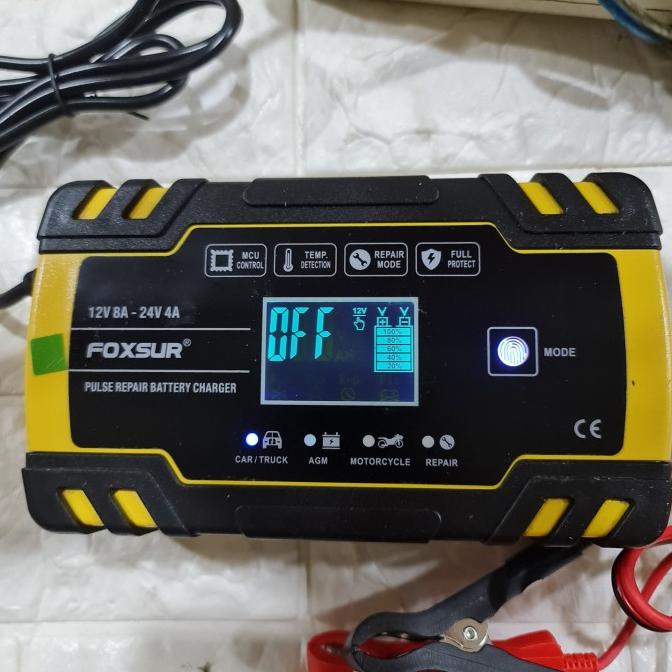 Foxsur 12V 24V Automatically Battery Charger Original