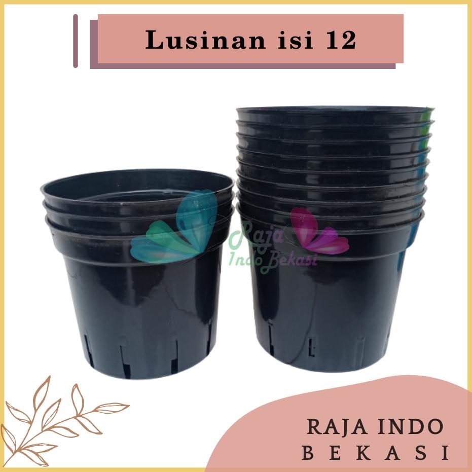 Populer Lusinan Pot Anggrek 20 Pot Bunga Anggrek Orchid Plastik 20 Cm - Pot Banyak Lubang