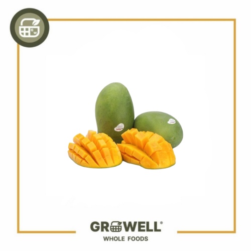 

MANGGA HARUM MANIS MATANG POHON