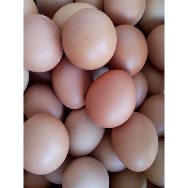 

telor ayam 500gram