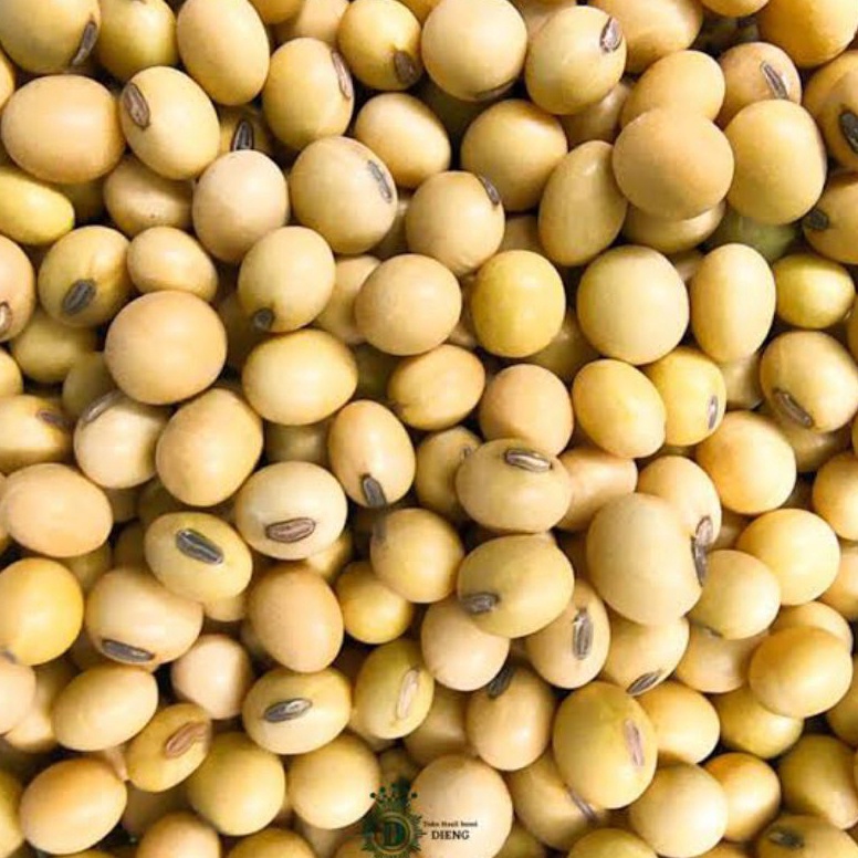 

3.3 FLASH SALE Kacang Kedelai Super Import 1kg(grade.A)Kacang Kedelai Soybean