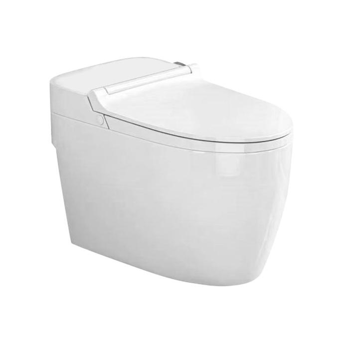 """] KLOSET DUDUK ICEPOL MONOBLOK ONEPIECE IC 8989 KODOK MODEL TOTO PUTIH