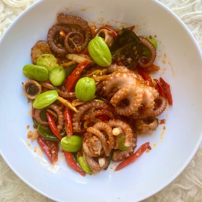 

OCTOPUS PETE PELANGI