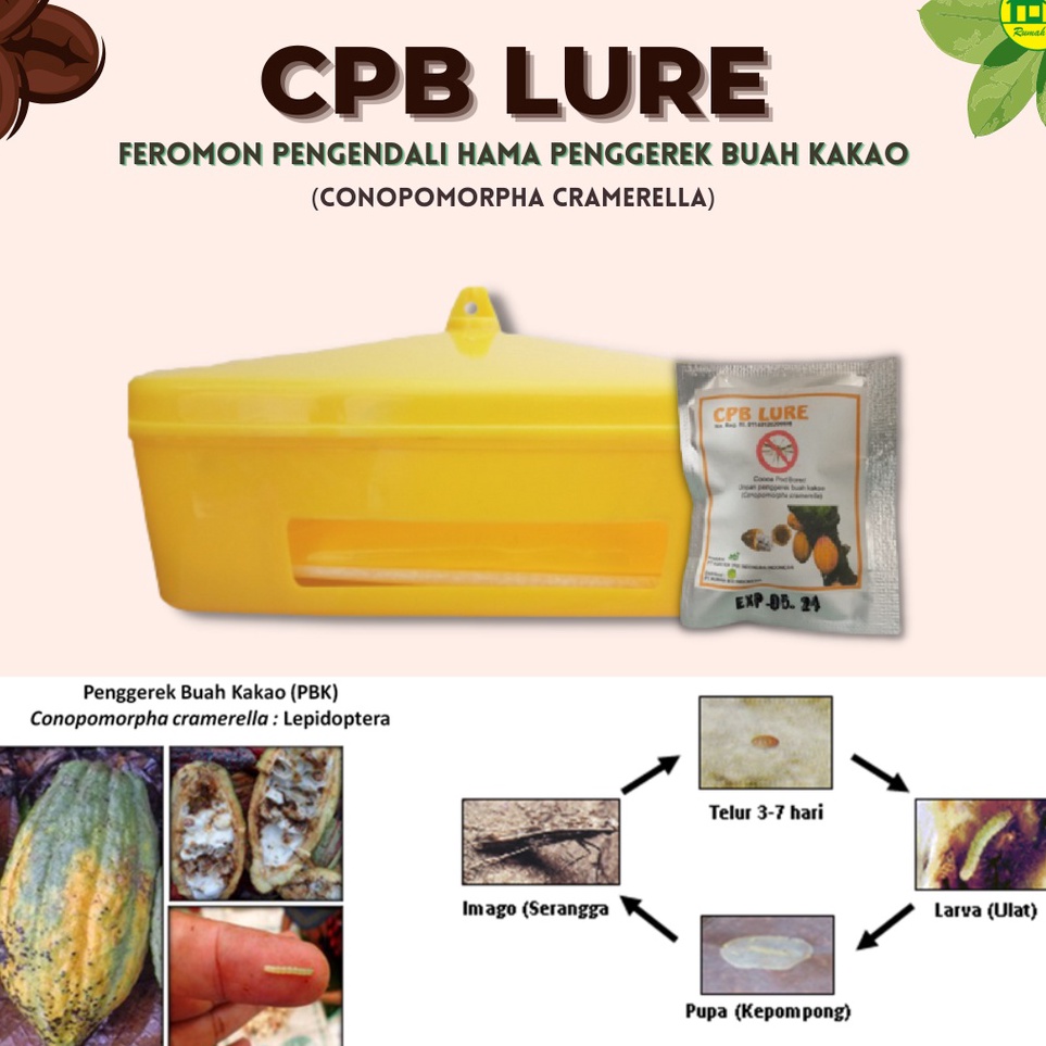 ★★★ MUH CPB LURE - Perangkap Hama Penggerek Buah Kakao (Conopomorpha Cramella) ☆ (Grosir)