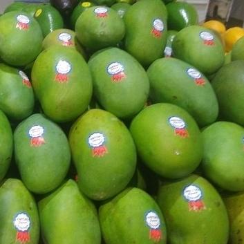 

Ready oke] Hartono MANGO gold harum manis 1kg