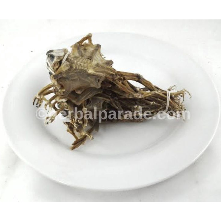 

Murah 1 Pasang 蟾皮 Chan Pi Ha Ma Gan 蛤蟆干 Toad Skin Katak Kering