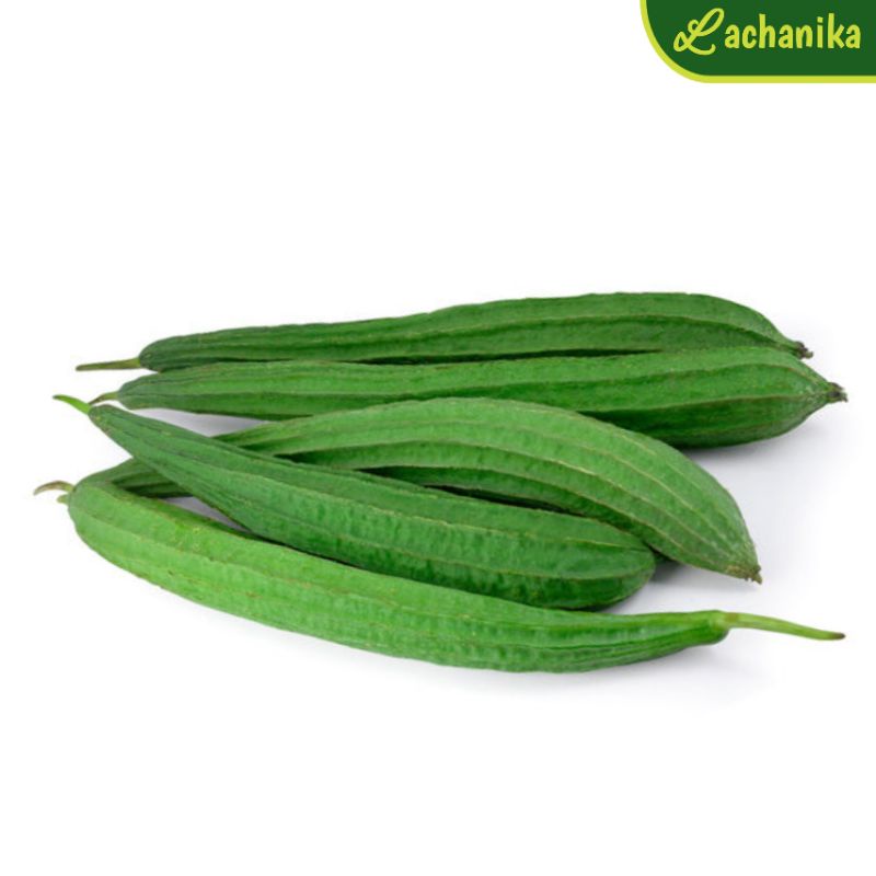 

Sayur Oyong Segar