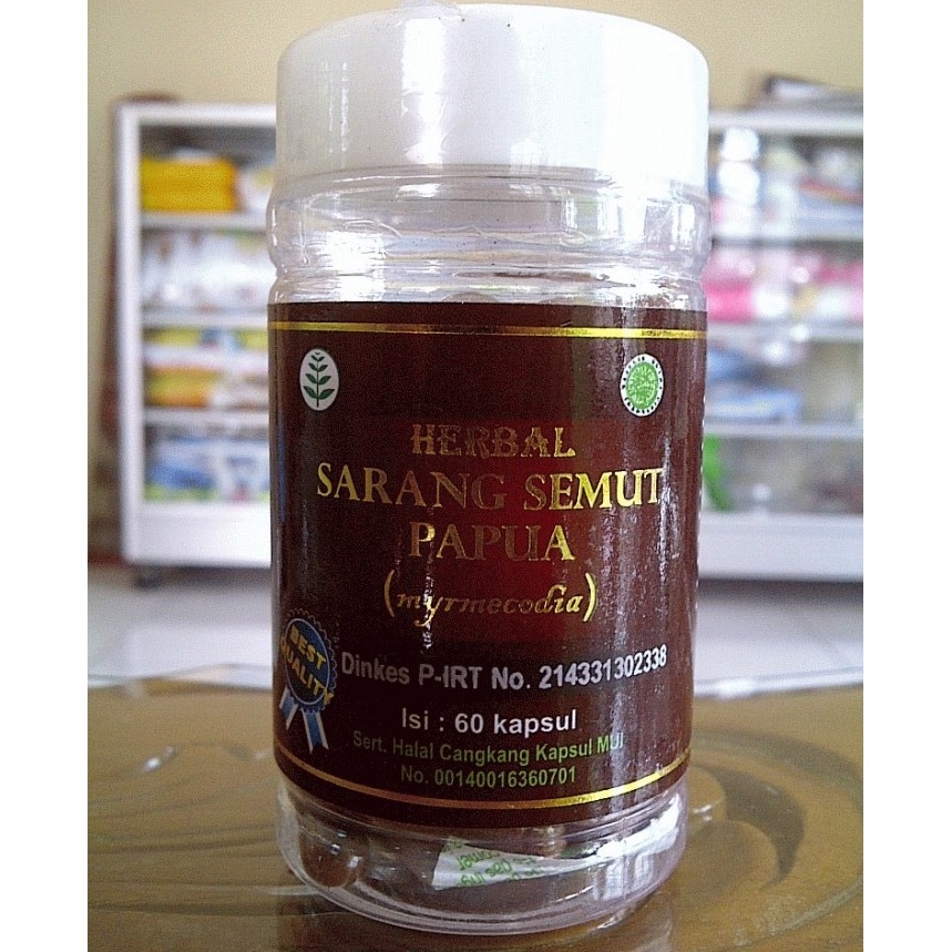 

Laris Kapsul Sarang Semut Murni ( Sarang Semut Papua ) Herbal Kanker dan diabet. Dijual