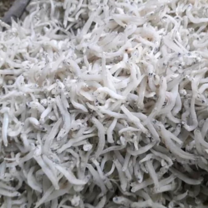 

Ikan asin Teri Nasi Medan 500gr untuk lauk pauk harga grosir murah