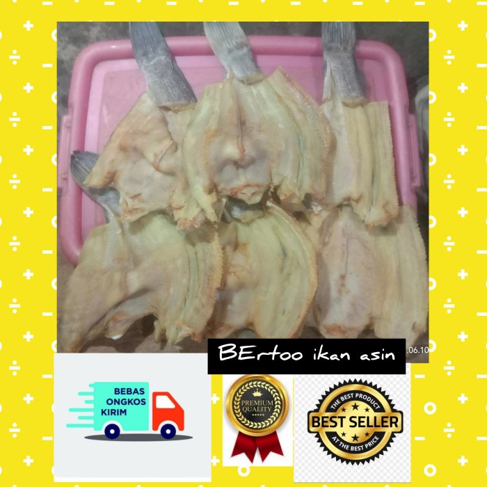 

ikan asin gabus besar super jumbosiem /500 gr