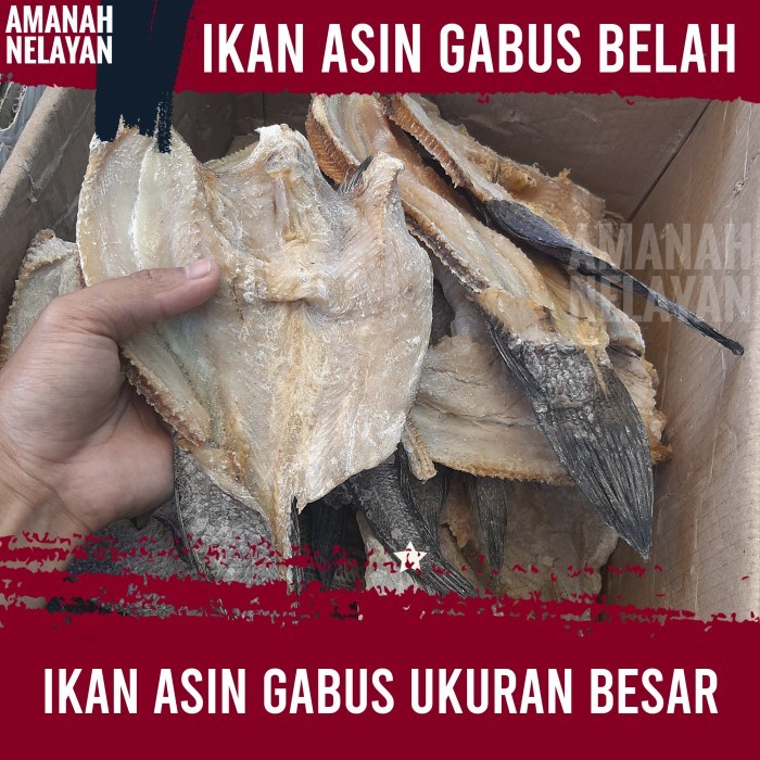 

Ikan Asin Gabus Belah Besar kondisi Kering 500 gram