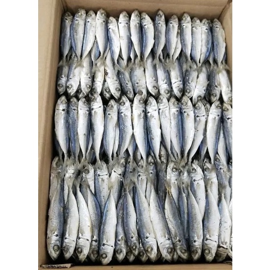 

ikan asin layang rebus deles 1kg