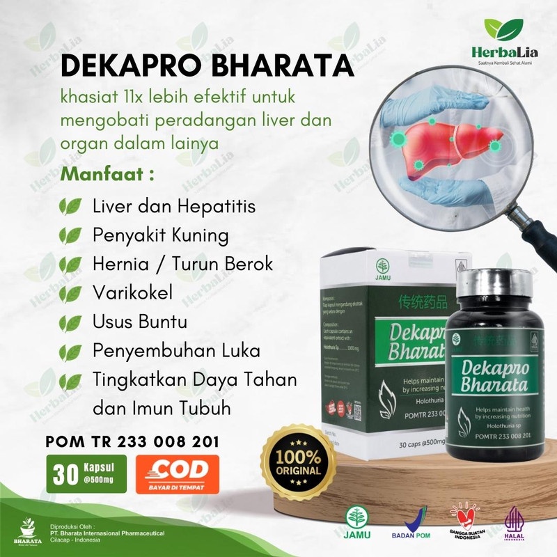 Obat Herbal Hernia Varikokel Liver Hepatitis Bharata Dekapro