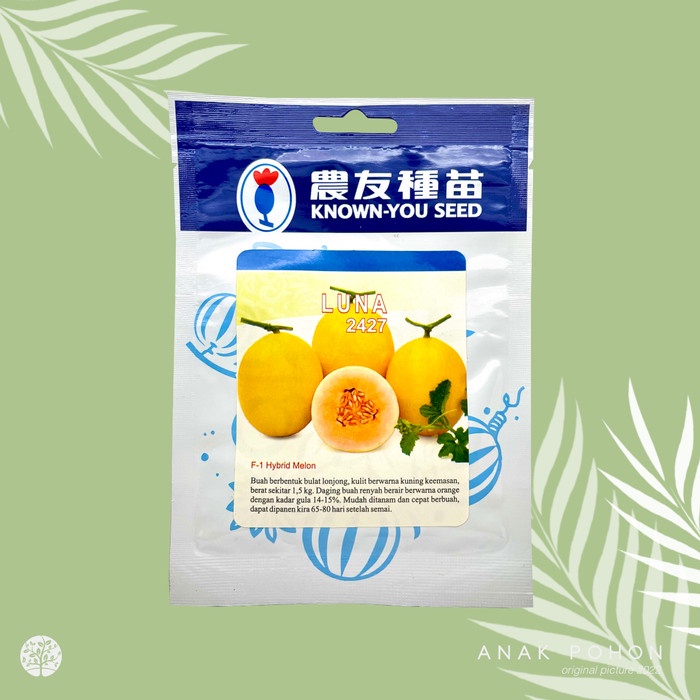 (1 PACK) Benih Melon Golden Kuning Luna 2427 Hibrida F1 Seeds - KYS