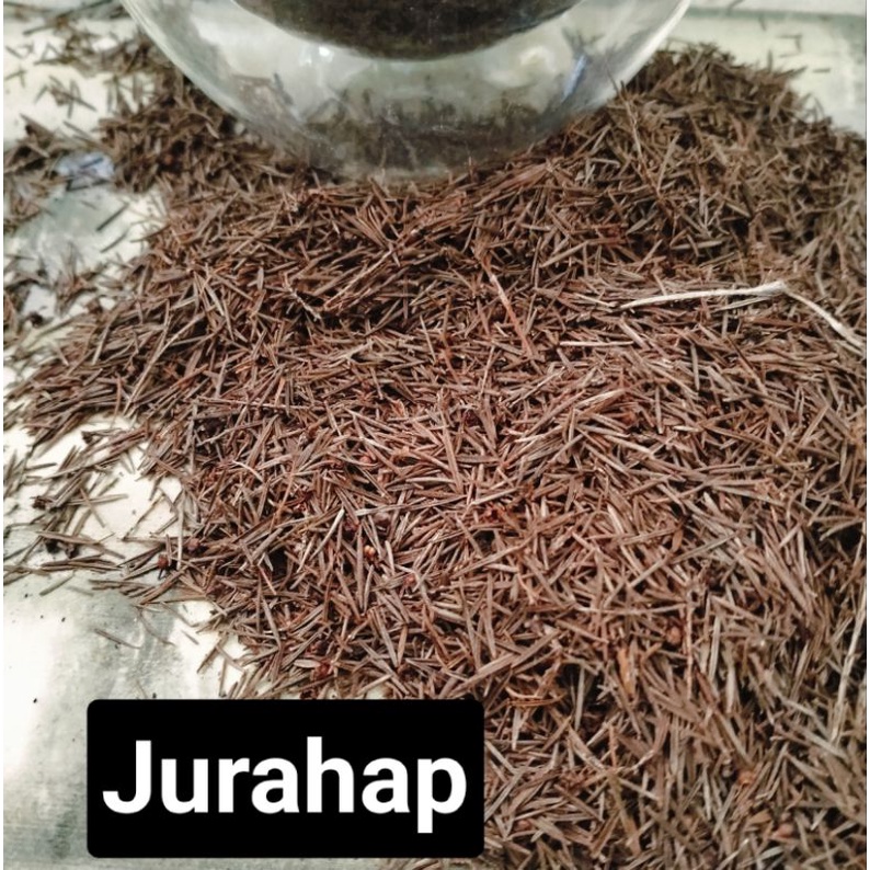 

Jungrahab/Jurahap/Jorahap/Ujung atap