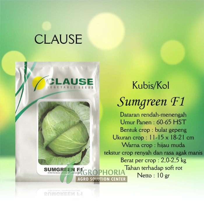 Benih Kubis (Kol) Sumgreen - CLAUSE