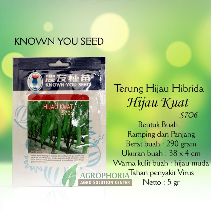 Benih Terong Hijau Kuat 5 Gram - Known You Seed