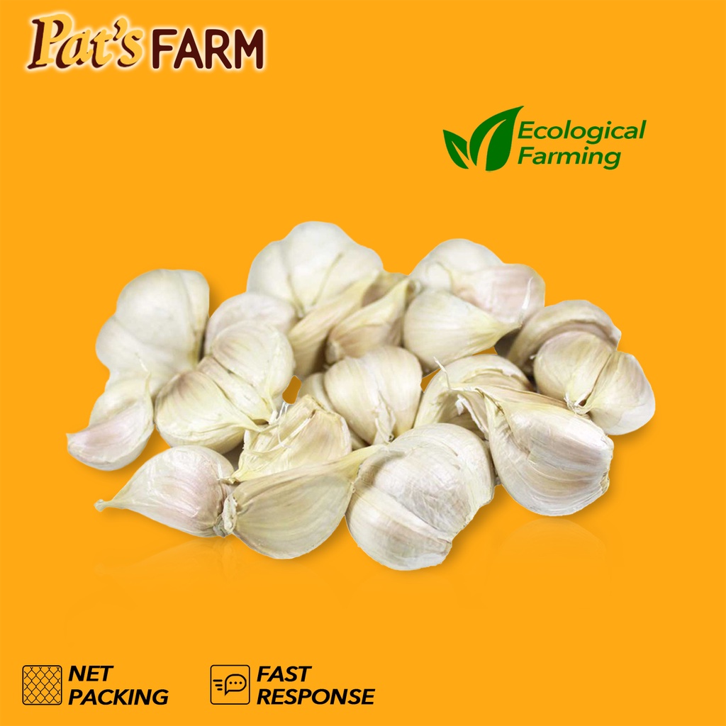 

Bawang Putih Kating (Bersih)