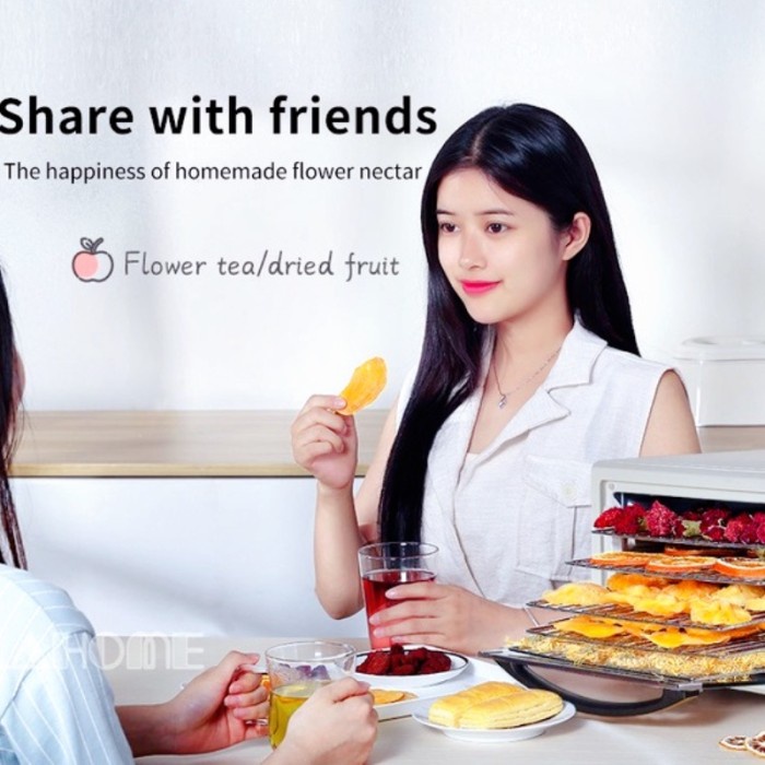 Mesin Pengering Daging Buah Dehydrator