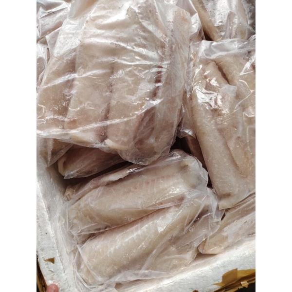 

kakap fillet premium