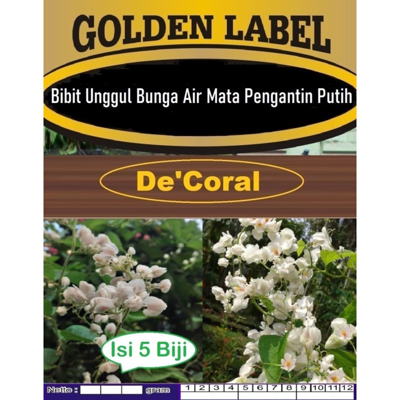 Bibit Bunga Air Mata Pengantin | Biji Benih Bunga Air Mata Pengantin