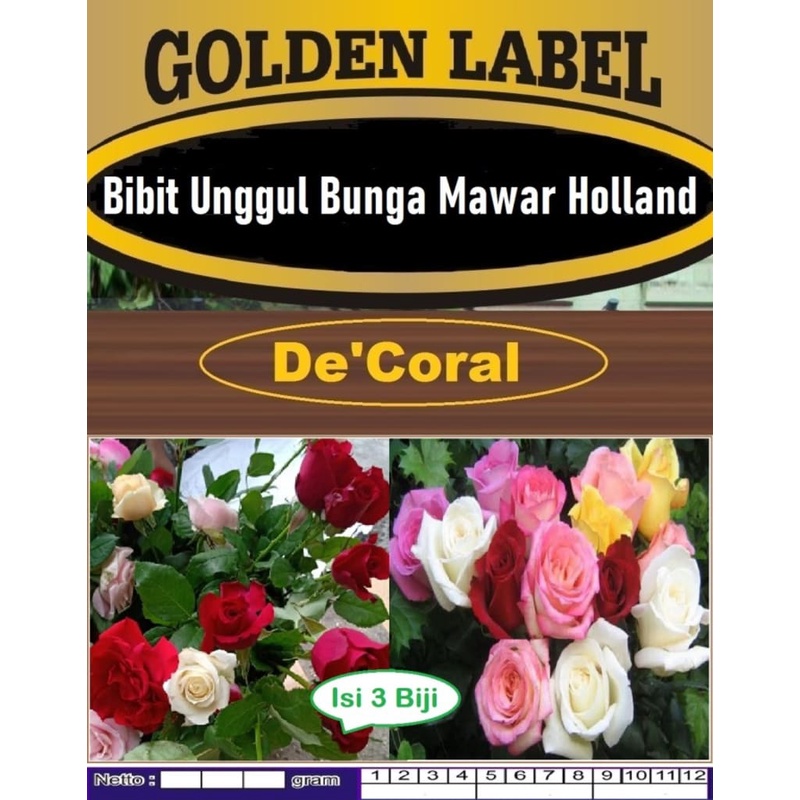 Bibit Unggul Bunga Mawar Holland|Benih Bunga Mawar Holland|Rose