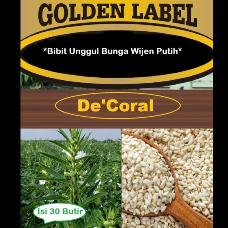 Bibit Unggul Bunga Wijen Putih | Benih Bunga Wijen Putih | Wijen Putih